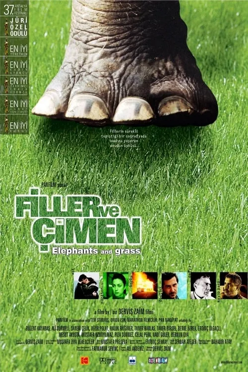 Elephants and Grass (movie)