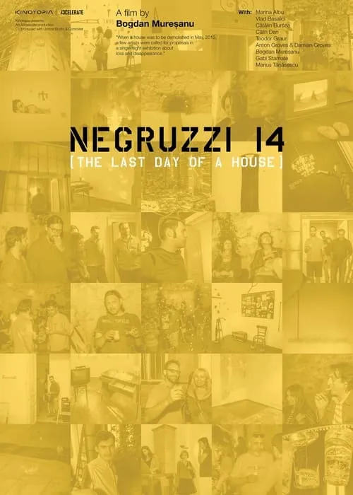 Negruzzi 14 (фильм)