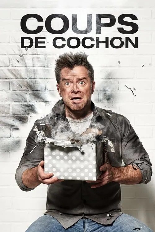 Coups de cochon (series)