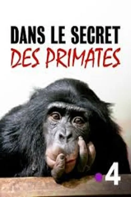 Dans le secret des primates (фильм)