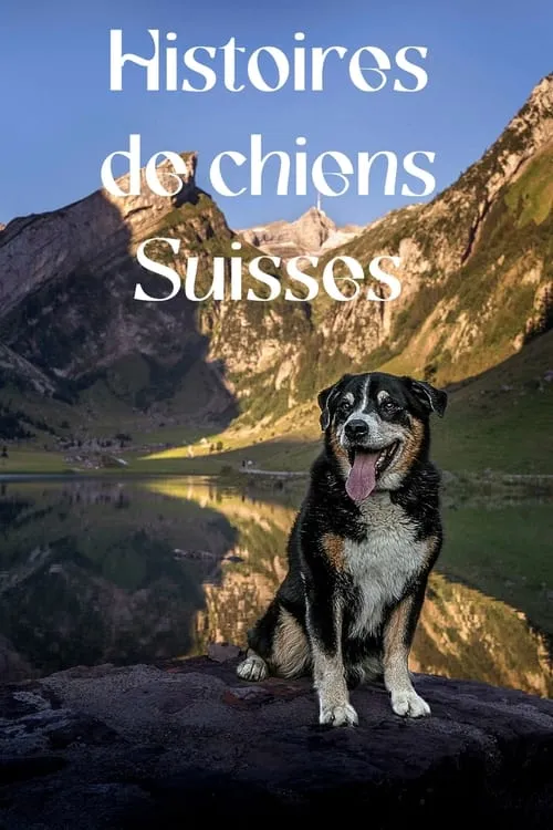 Schweizer Hundegeschichten (сериал)