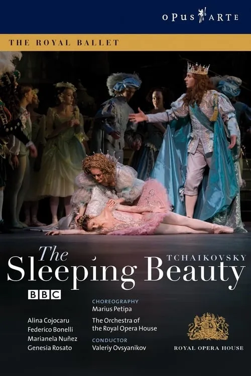 The Sleeping Beauty (movie)