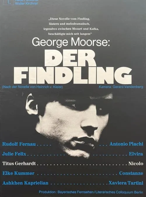 Der Findling (movie)