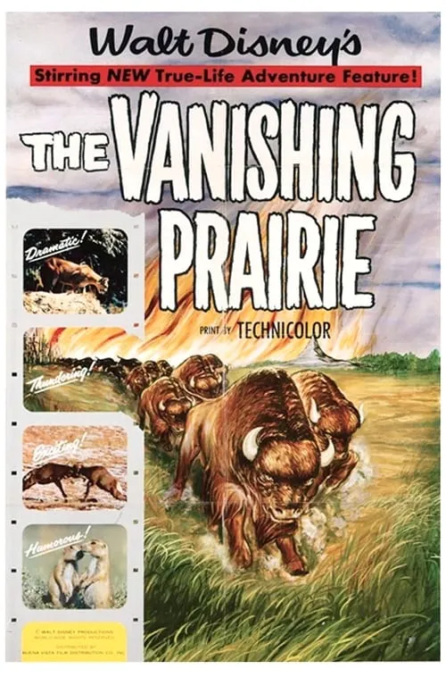 The Vanishing Prairie (movie)