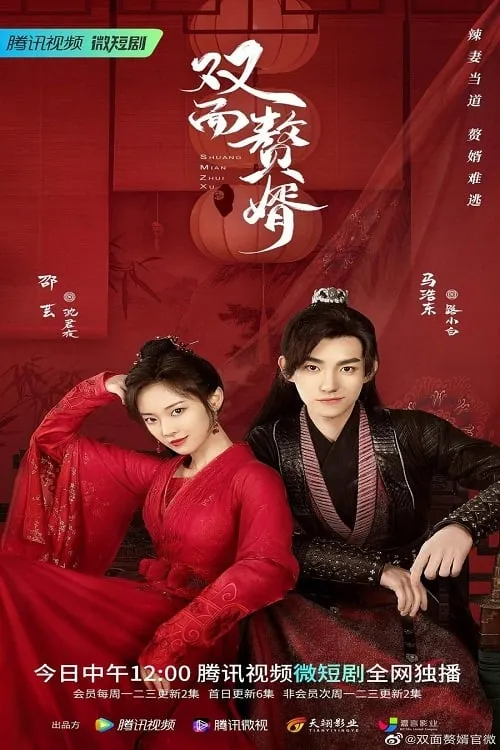 双面赘婿 (сериал)