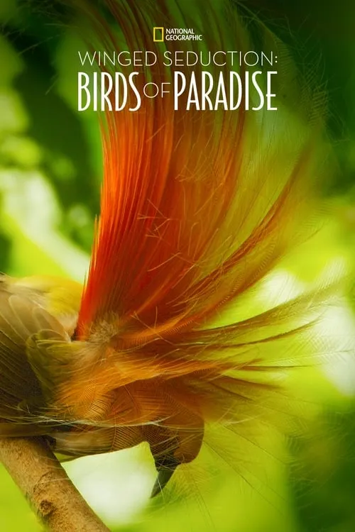 Winged Seduction: Birds of Paradise (movie)