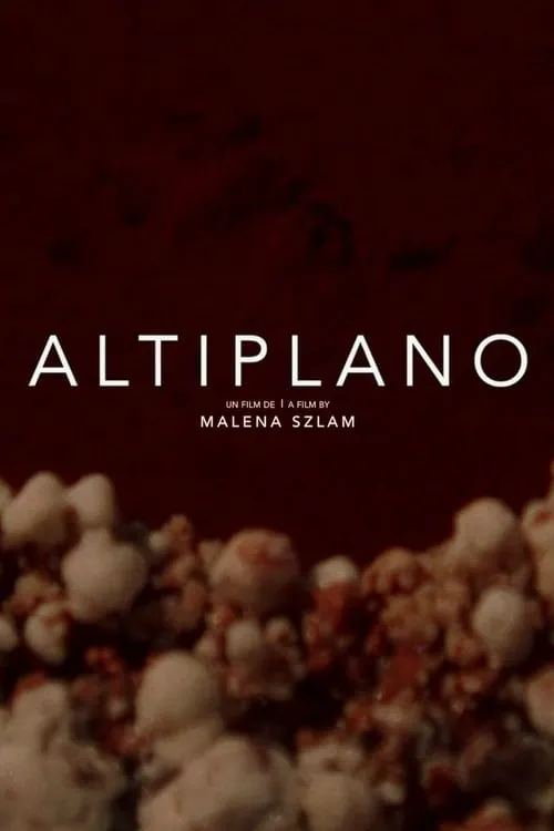 Altiplano (movie)