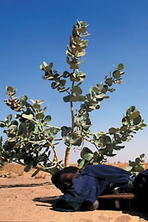 Tchissète, le miroir touareg