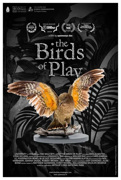 The Birds of Play (movie)