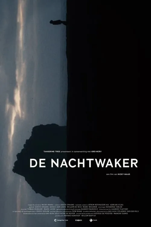 De nachtwaker (фильм)