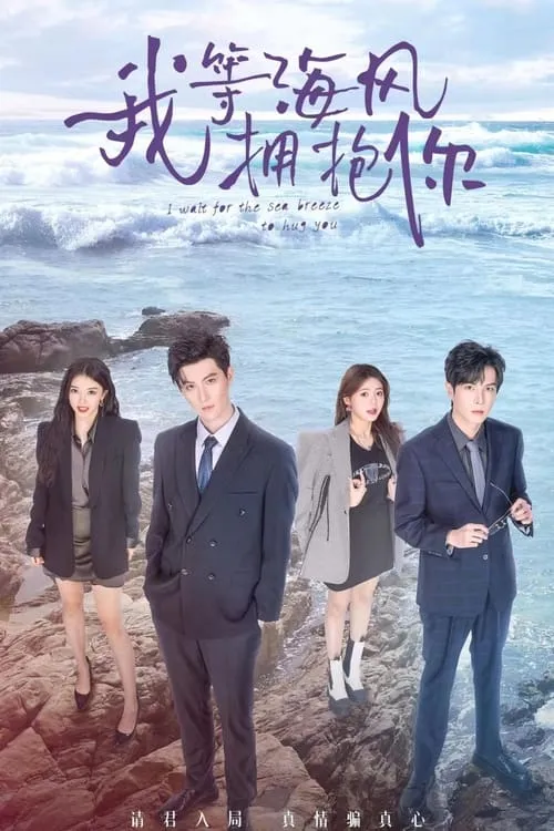 我等海风拥抱你 (сериал)