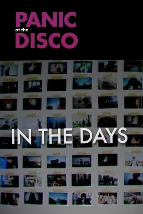 Panic! at the Disco: In the Days (movie)