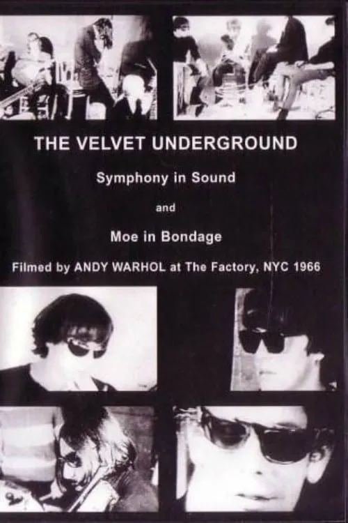 The Velvet Underground and Nico: A Symphony of Sound (movie)