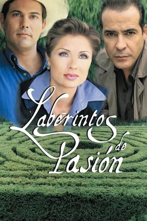 Labyrinth of Passion (series)