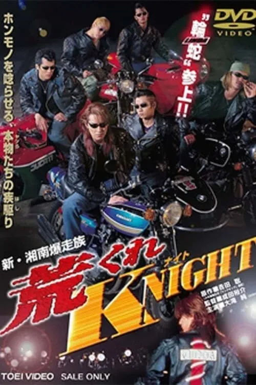 新・湘南爆走族　荒くれKNIGHT (фильм)