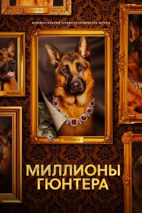 Миллионы Гюнтера (сериал)