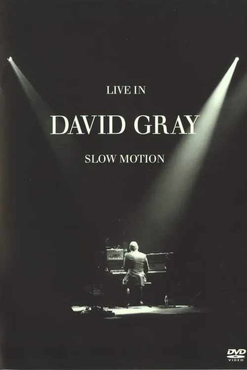 David Gray: LIVE in Slow Motion (фильм)