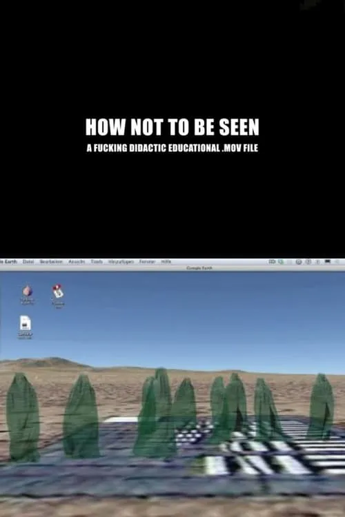 How Not to Be Seen: A Fucking Didactic Educational .MOV File (movie)