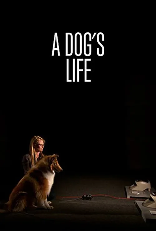 A Dog's Life (фильм)