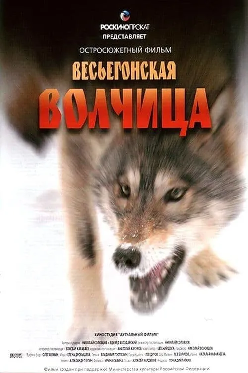 Весьегонская волчица