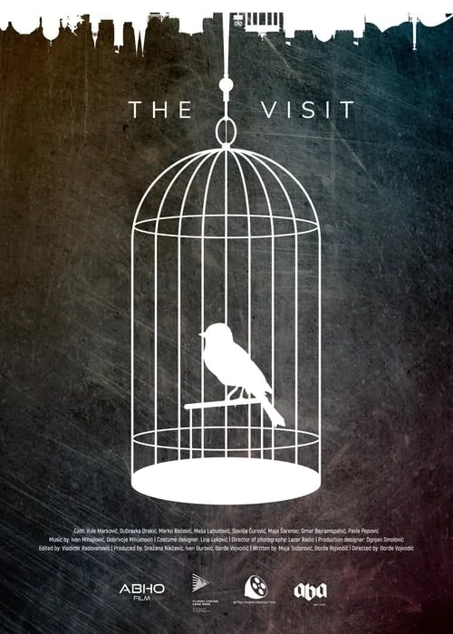 The Visit