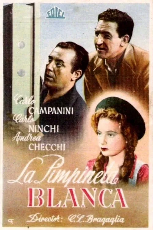 La primula bianca (movie)