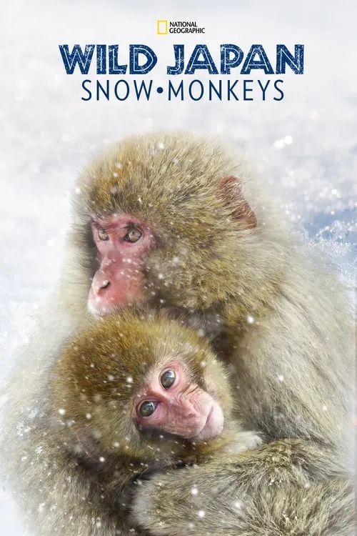 Wild Japan: Snow Monkeys (movie)