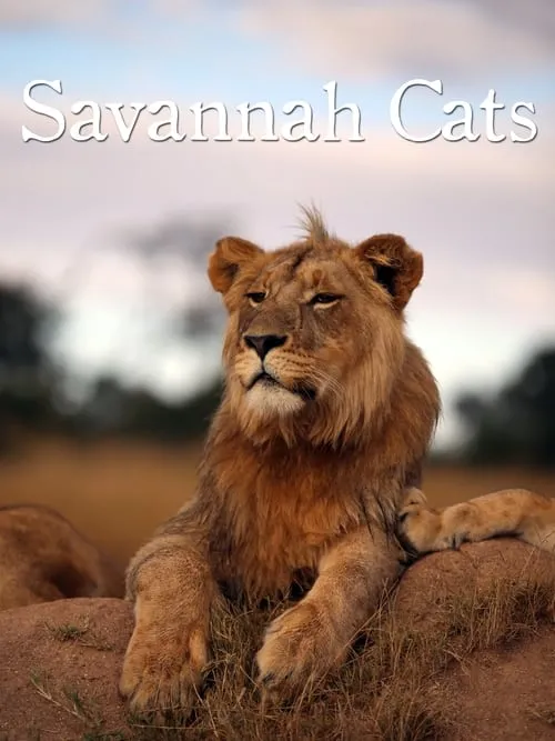 Savannah Cats (movie)