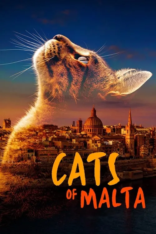 Cats of Malta