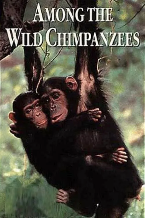 Among the Wild Chimpanzees (фильм)