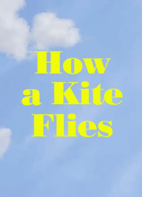 How a Kite Flies (фильм)