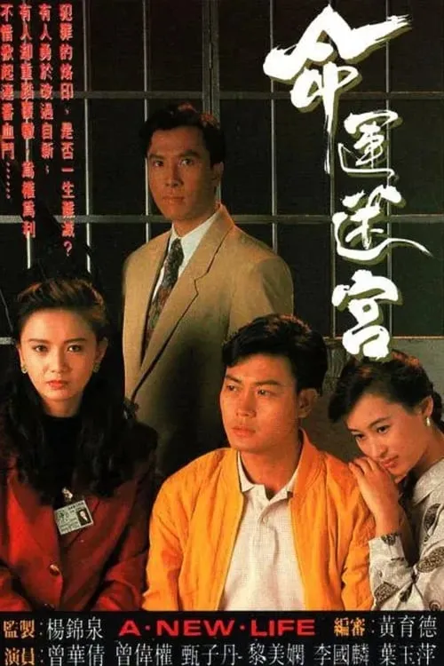 命運迷宮 (сериал)