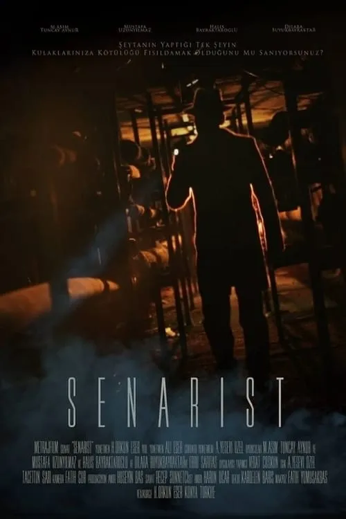 Senarist (фильм)