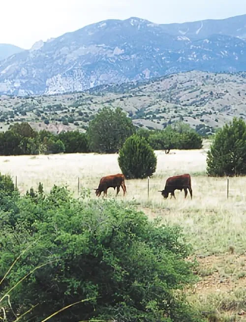 Whose Home on the Range?