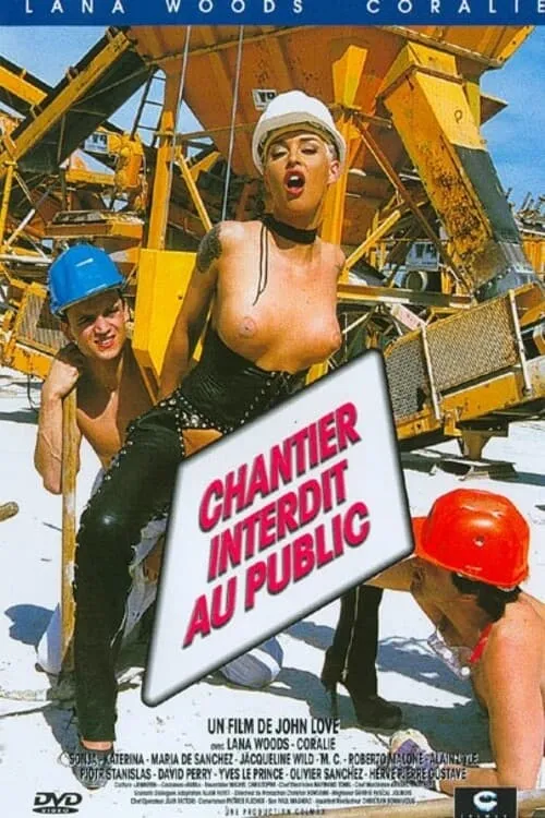 Chantier interdit au public (фильм)