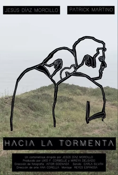 Hacia la tormenta (фильм)