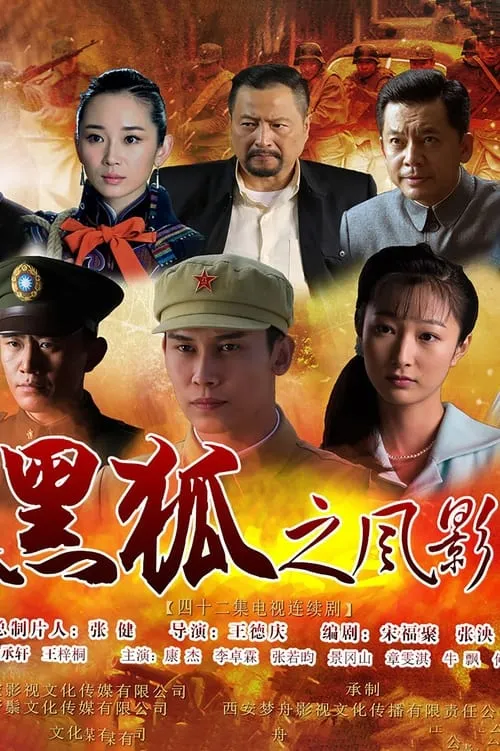 黑狐之风影 (сериал)