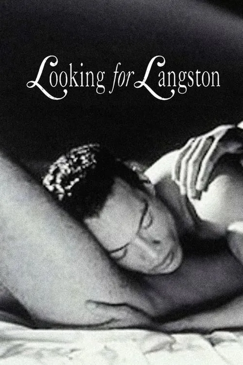 Looking for Langston (movie)