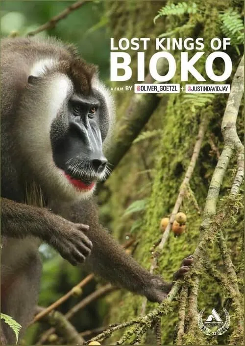 Lost Kings of Bioko (фильм)