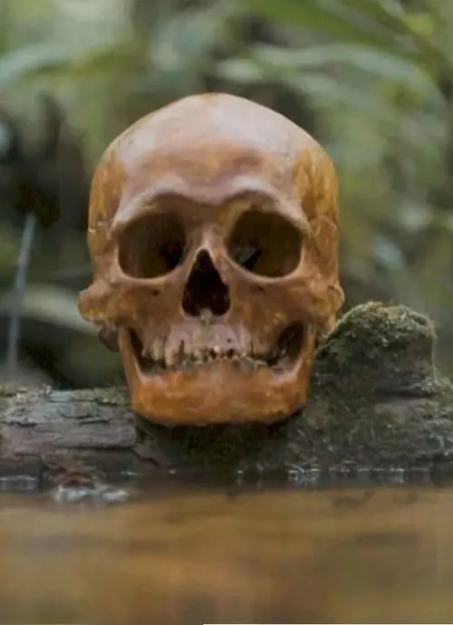 A Skull (movie)