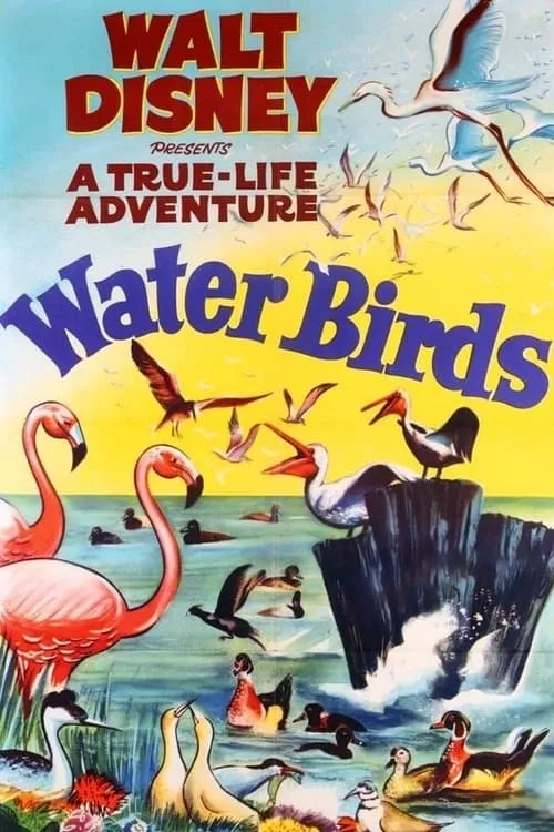 Water Birds (фильм)