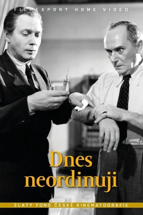 Dnes neordinuji (movie)