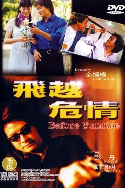 飞越危情 (movie)