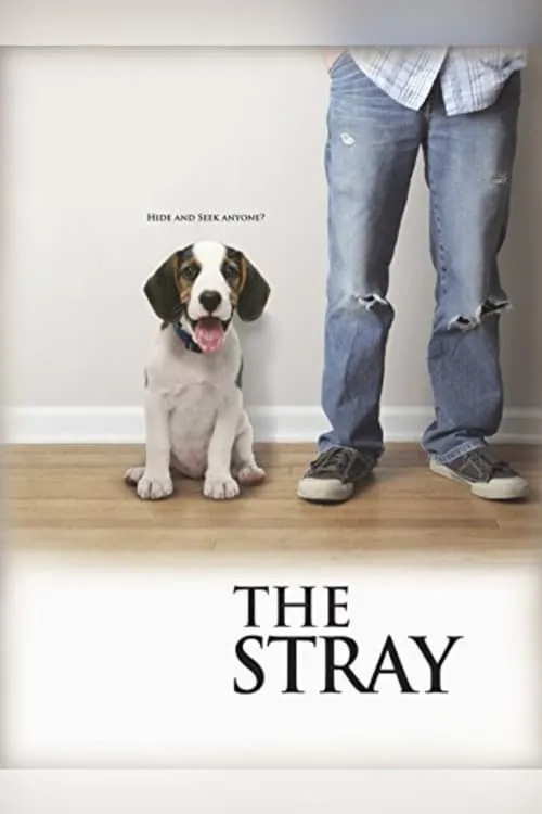 The Stray (movie)