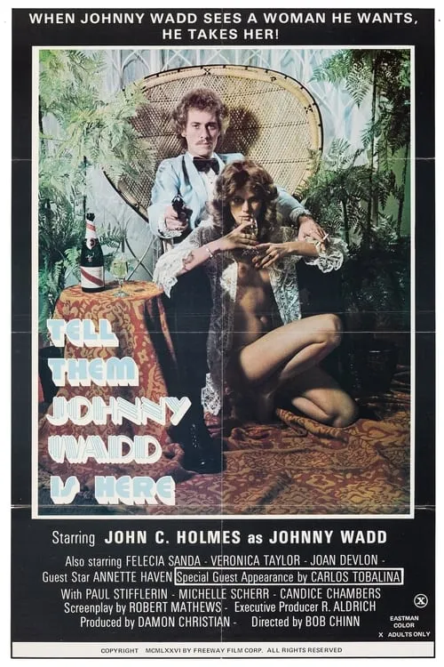 Tell Them Johnny Wadd Is Here (movie)