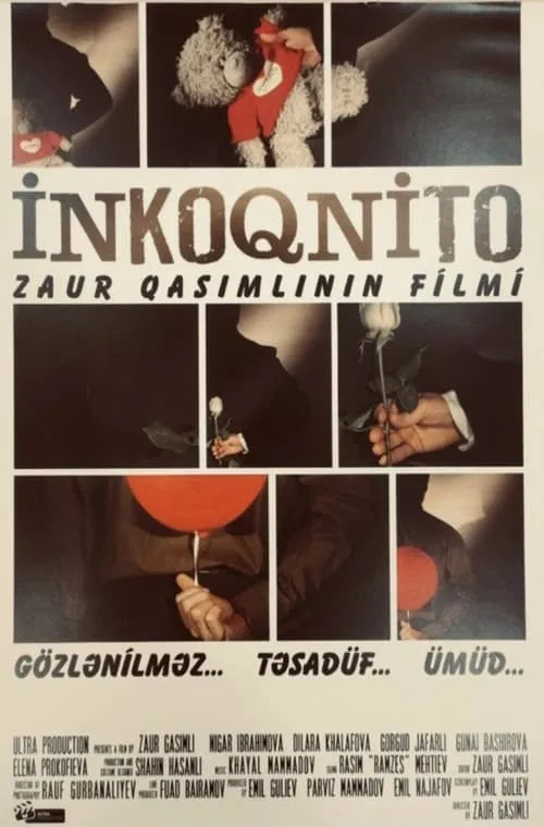 Incognito (movie)