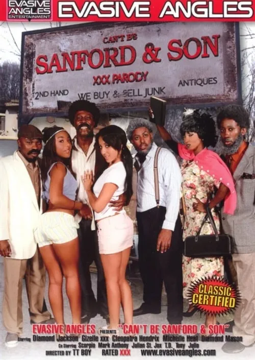 Can't Be Sanford & Son (movie)