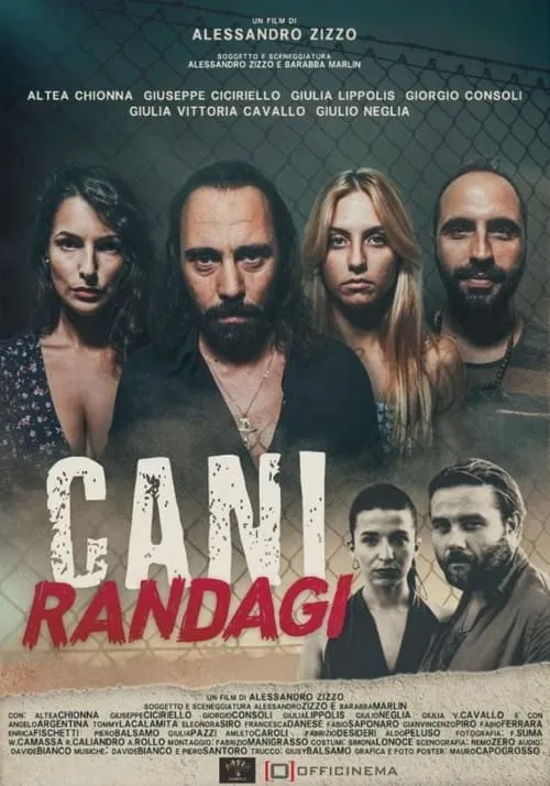 Cani randagi (фильм)