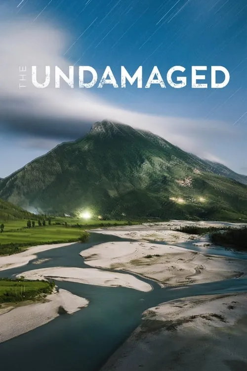 The Undamaged (фильм)