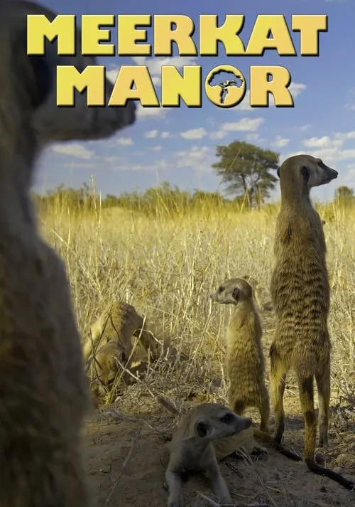 Meerkat Manor (series)